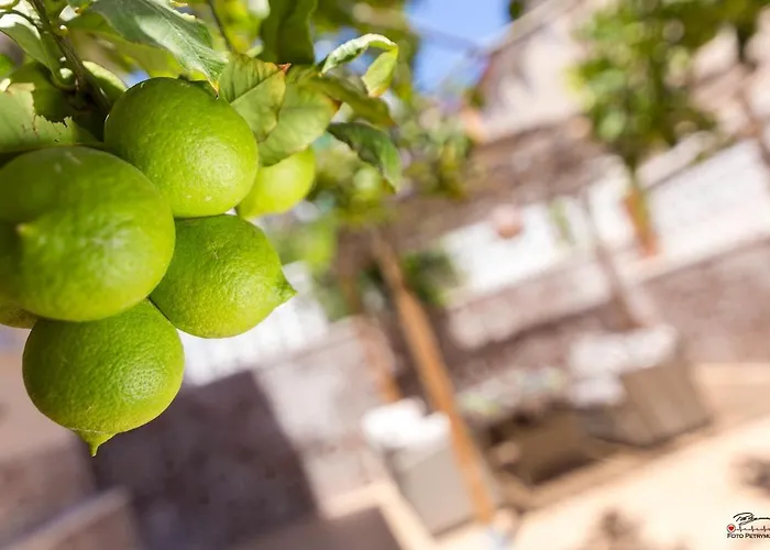 Lemon Paradise Alicante
