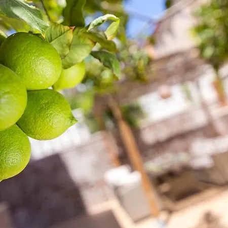 Lemon Paradise Alicante